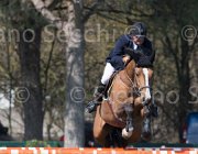 Le Jeune Once TosTour2013- S5 2560 : Arezzo, Arezzo Equestrian Centre, Le Jeune Philippe, Once de Kreisker, Toscana Tour 2013, foto di Stefano Secchi ©